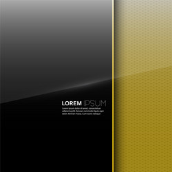 dark glossy blank with a background texture vector image