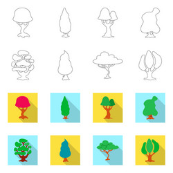 isolated object of tree and nature icon vector image