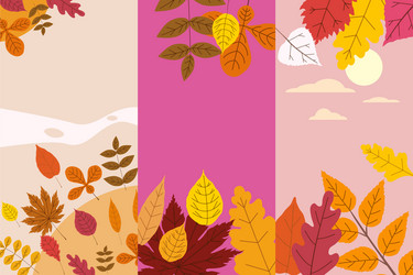 set colorful autumn templates fallen vector image