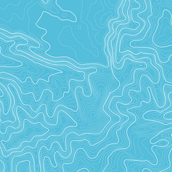topographic map background with space for copy vector image