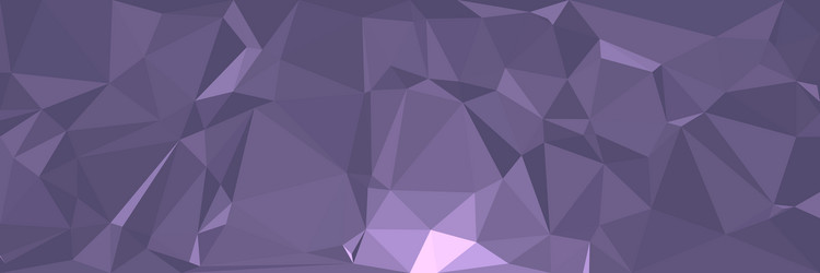 Triangular Polygonal Background vector image