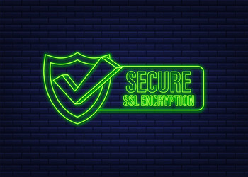 Secure connection icon vector