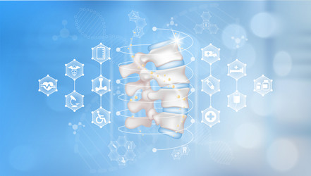 Doctor hand holding bone human joints Royalty Free Vector