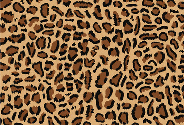Leopard Print Seamless Pattern vector image