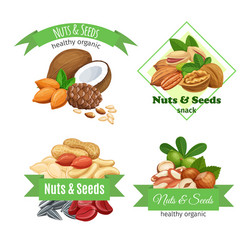 Template with nuts and seeds vector