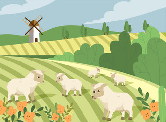 livestock of sheep vector