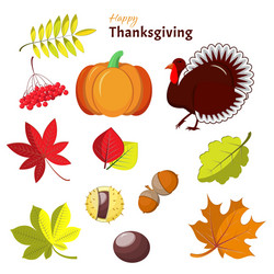 Autumn Thanksgiving Decorations Vector Image