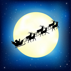 Winter Night Sleigh with Santa Vector Image