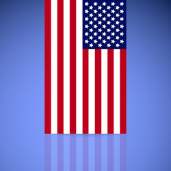 United states flag vector