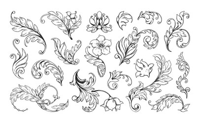 flower ornaments floral frame filigree pattern Vector Image
