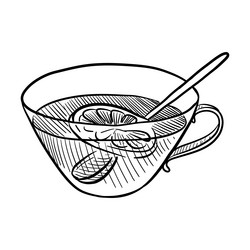 drawing sketch of cup with tea and lemon vector