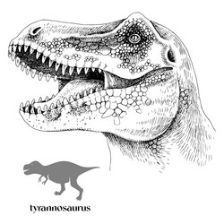 Hand drawn realistic dinosaurus t-rex vector