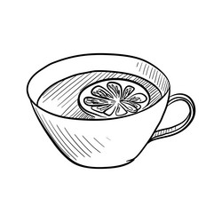 drawing sketch of cup with tea and lemon vector