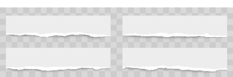 torn paper edges with realistic shadow vector image
