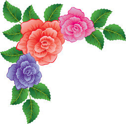 Colorful roses vector