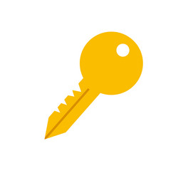 flat design key icon vector image