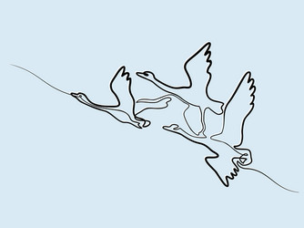 continuous one line drawing flying swans logo vector