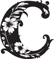 curated script custom font c decor captivating vector image