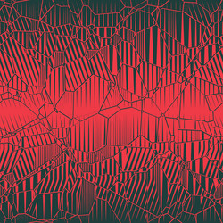 Fractured Web Pattern vector image