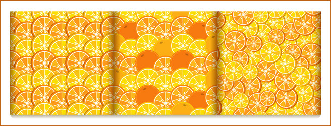 patterns with slices of citrus lemon and orange vector image