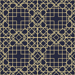 Intricate Geometric Pattern vector image
