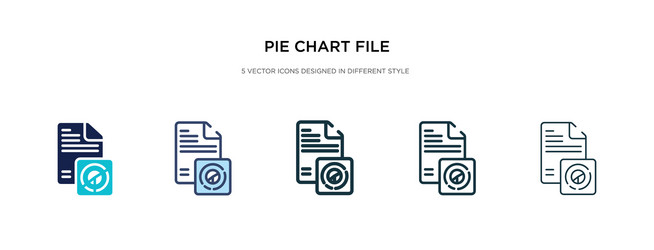 Pie chart file icon in different style two vector