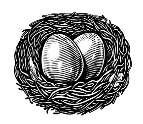 eggs in nest isolated on white background vector image