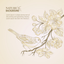 Sakura Branch with Bird vector image