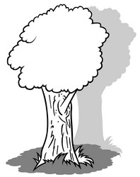 drawing of a deciduous tree with thick trunk vector