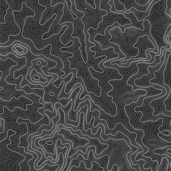 topographic map background with space for copy vector image