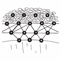 neural network patterns unlocking the blueprint vector image