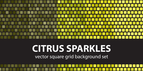 square pattern set citrus sparkles seamless tile vector image