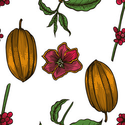 seamless pattern of cocoa beans vector