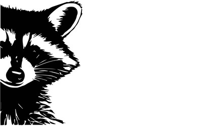 Peeking Raccoon Silhouette Vector Image