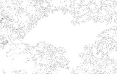 frame with copy space contour of deciduous tree vector image