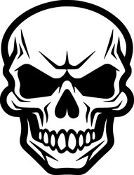 Black and White Skull Vector Image