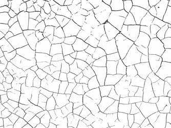 simply place texture over any object to create vector image