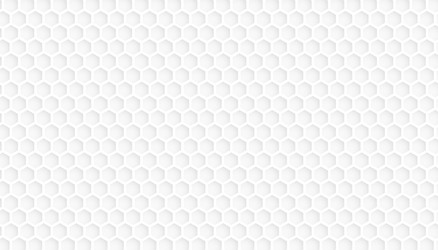 white and gray hexagon pattern texture background vector image