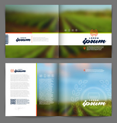 template booklet design - wine and winemaking vector image