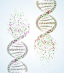 Dna and rna structure Royalty Free Vector Image