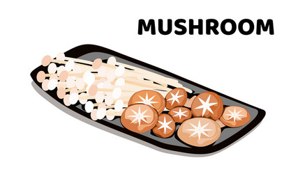 set enokitaki and shiitake mushroom vector