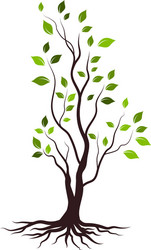 tree branch design vector