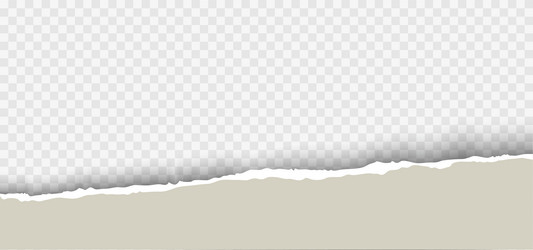 torn paper with ripped edges and soft shadow vector image