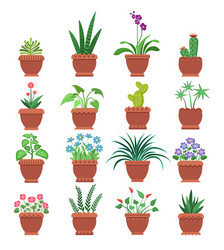 Tropical Plant Collection Vector Image