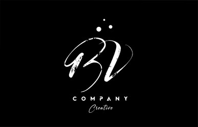 Elegant Script Logo - BV Initial with Dots vector image
