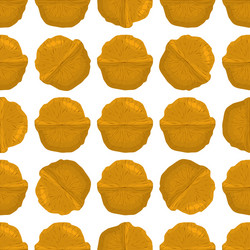 on theme big pattern identical types walnut vector image