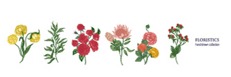 set of blooming flowers and decorative flowering Vector Image