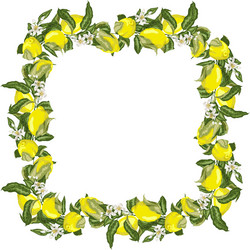 Template square frame wreath with citrus fruit vector