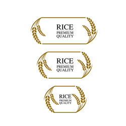 premium rice great quality design concept vector image