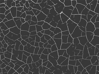 simply place texture over any object to create vector image